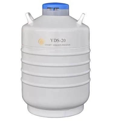 YDS(10-31.5L) Storage(Moderate) vedela lämmastiku konteineri