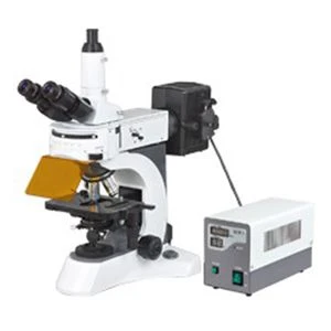 N-800F labori bioloogilist fluorestseeruv mikroskoobi